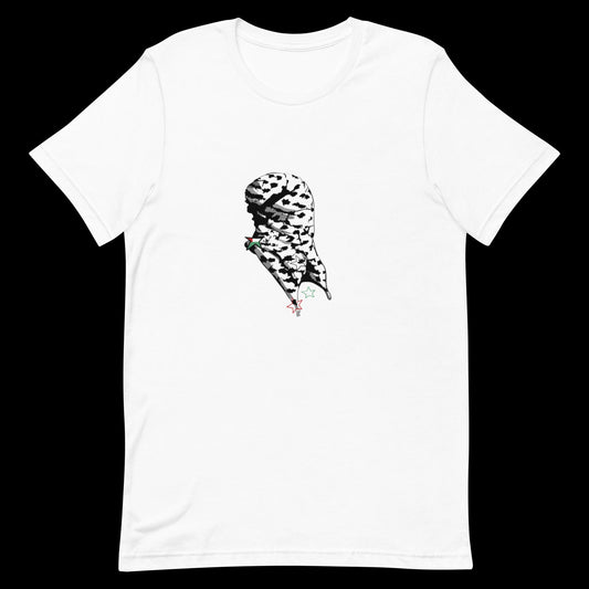 Solidarity With Palestine Freedom T-Shirt